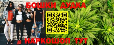 стафф Кандалакша