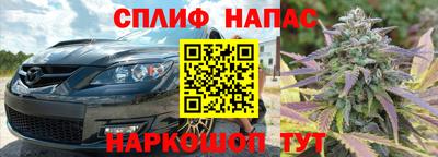 стафф Кандалакша