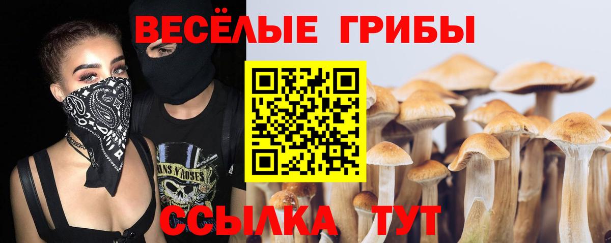 Псилоцибиновые грибы Psilocybe  Вход с VPN  Галлюциногенные грибы Psilocybine cubensis  Котлас 